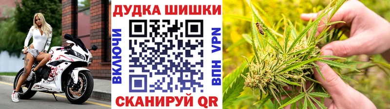 купить наркотик Сунжа кракен сайт МАРИХУАНА AK-47